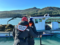 완도해경, 무면허 김 양식장 적발