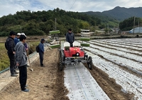 전남도, 가격 변동성 큰 마늘·양파 수급 안정 온힘