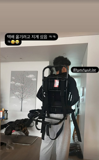 “택배 때문에”…‘임신’ 손담비, 남편 이규혁 지게꾼 깜짝 변신 공개