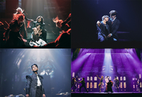 “요지, 너 인싸냐?”... 공효진, 반려견과의 좌충우돌 산책기 공개!