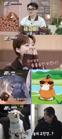 힙합 비둘기 데프콘 위협할 새 아빠가 등장했다