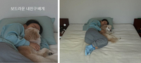 이효리, 평창동 새 보금자리에서 반려견과 함께 따뜻한 일상 공개