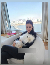 장동건♥ 고소영, 한강뷰 164억 펜트하우스에서 반려견과 여유로운 일상 공개