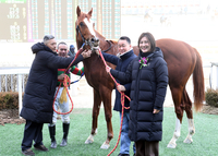[포토]스포츠서울배 대상 경주, 영광의 우승마 찬페이머스