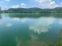 용인시, 기흥저수지 녹조 예방 행정력 집중