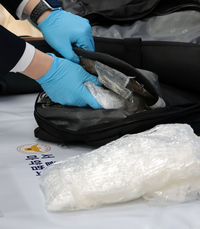 ‘던지기 마약은 무엇?’…국힘 실세 아들 덜미, 4개월만에 드러나며 은폐의혹까지