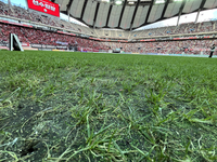 서울월드컵경기장 잔디 긴급 복귀 확정…시·공단 “29일 FC서울 홈경기 전까지 시행”