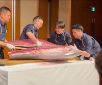 오타니가 기획한 1937만원 참치 해체쇼…로버트 감독은 질투?