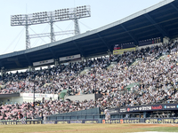 2025 KBO리그 시범경기 흥행 ‘대박’…평균 관중 7661명!→역대 최다 기록 경신