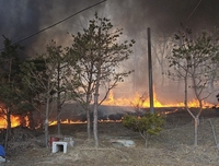 용인시, 산림인접지역 불법 소각 집중 단속