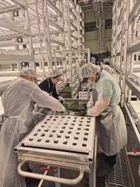 장수군, 청년농업인 대상 ‘동부권 임대형 수직농장’ 현장실습 교육 실시