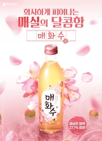 스테디셀러 매화수, ‘1억 4000만병’…서울·부산 47번 왕복 가능 판매량