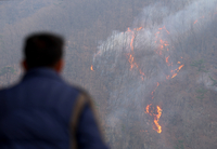KT&G, 산불 피해지역에 5억원 기부 KGC인삼공사는 홍삼으로 동참