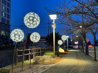 동해시, 평릉천 야간경관 보러오세요!