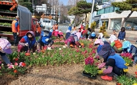 나주시, 도심 속 아름다운 꽃거리 조성