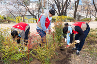 롯데월드 임직원, 식목일 맞아 석촌호수 인근 녹지에 나무심기 봉사활동 진행