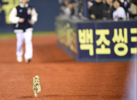 [포토] 그라운드 난입한 고양이 ‘표 사서 올게요’
