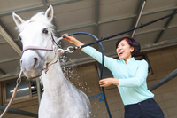 나도 말을 탈 수 있어! 한국마사회, 힐링승마 지원사업 온라인 접수 시작해... 국민 3600명에게 승마강습 지원