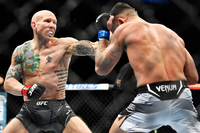 UFC 페더급 터줏대감 에멧, 15승 무패의 신성 머피의 진격을 막아내야 살아남는다!