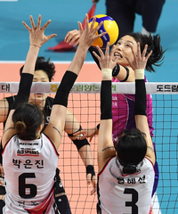 [포토]흥국생명 김연경, 넘겨야 하는데...