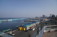 속초시, 2025년 청년어촌정착 지원사업 대상자 추가 모집