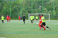 속초시, 종목별 생활체육대회 ‘시민의 건강한 일상’ 지원