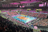 시청률로 보는 V리그 남녀부 인기 차이, 세계선수권대회 선전 더 간절한 이유