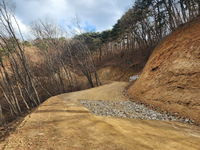 춘천시, 20억 들여 5km 임도 신설···“산불대응·산림경영 효율 강화”