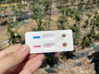 해남군,‘바이러스 진단키트’활용 병해충 조기 진단한다