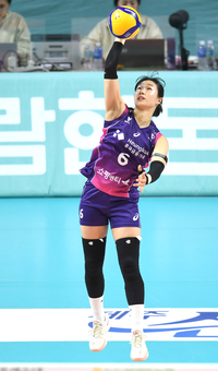 이다현 잡은 흥국생명, 이고은 포함 FA 4명 내부 단속까지 성공