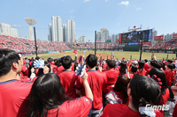 “암표, 부정예매 막는다” 롯데, 예매 방식 ‘극단적’ 변화…“매크로 못 쓰게 모바일만”