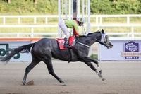 복수혈전! 제36회 뚝섬배(G2), 27일 개최해