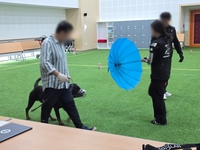 경기도, 맹견 10월 26일까지 사육허가 받아야