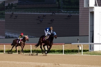 코리안오크스 우승 ‘판타스틱밸류’, 적수가 없다!