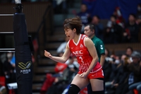 페퍼저축은행, 와일러 대체 아시아 쿼터로 일본 국적 시마무라 하루요 영입