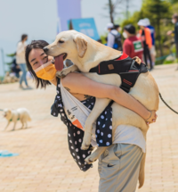 국민 행복쉼터 ‘하이원’…국내최대 반려견 행사 ‘2025댕댕트레킹’