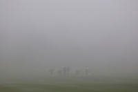 안개·비에 날아간 이틀, SK텔레콤오픈 2025 결국 파행 “샷건 방식으로라도 54홀 대회 치러야”[SS 현장]