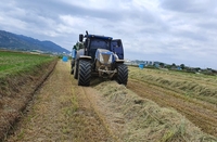 전남도, 고품질 조사료 생산에 1천4억 지원