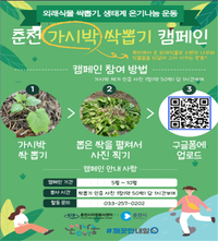 춘천시, 가시박 제로! 시민 참여형 제거 활동 전개