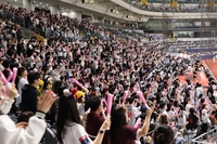 가성비·가심비로 MZ 마음에 ‘홈런’ 날린 야구