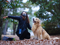 사랑하는 반려견 마누를 추억하며…문정희 사진전 ‘금빛동행’에 담긴 아름다움 [SS현장]