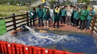 광주시, 여름철 풍수해 대응 합동훈련