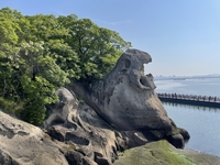 항구의 도시, 목포가 빚어내는 아름다움…영산강도 삼학도도 더 이상 울지 않는다 [원성윤의 인생은 여행처럼]