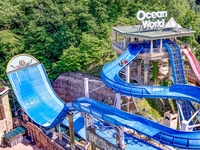 소노인터내셔널, 여름휴가 맞이 ‘미리보는 여름일지’ 기획전 진행