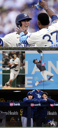 이정후·김혜성은 날고, 김하성은 뜬다!…코리안 빅리거, 6월 트리플 시동