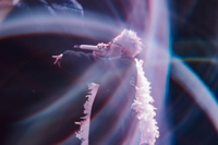 출퇴근 음원 최강자는 ‘역시’ 지드래곤…에스파·아이유·아이브와 함께 집으로!