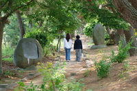 전남 장흥군 한승원문학산책로와 소등섬,  한국 문학의 향기를 느낄 수 있는 곳!