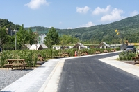 성남시,율동공원 오토캠핑장 첫 예약 최고 270:1 경쟁률