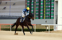 트리플 티아라 시리즈 최종장…제19회 경기도지사배 개최