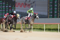 이변의 제18회 KNN배…‘신스틸러’ 라온포레스트, 진가 다시 입증